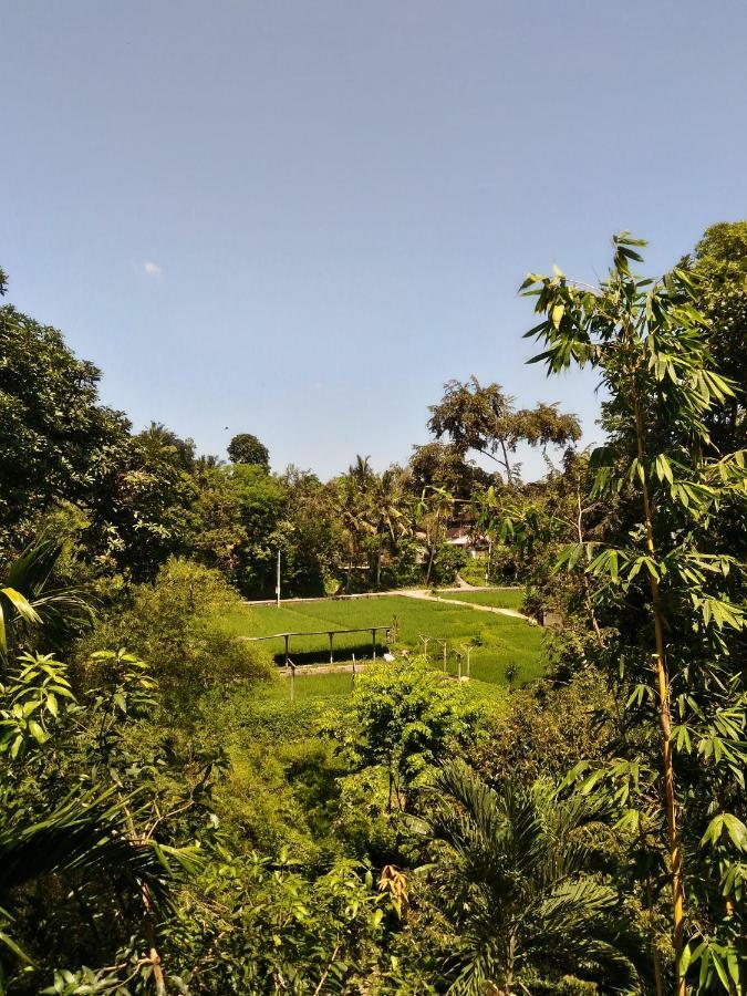 Prasanti Bed & Breakfast Ubud  Exterior photo