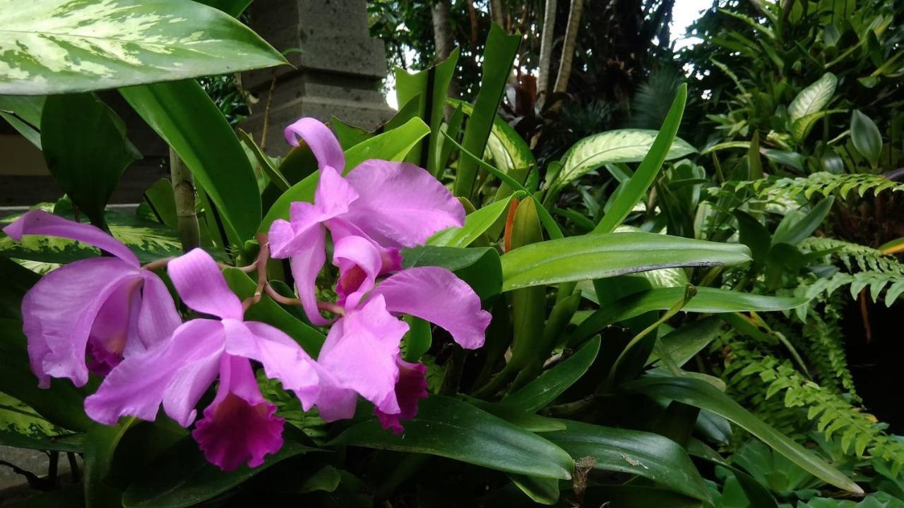 Prasanti Bed & Breakfast Ubud  Exterior photo